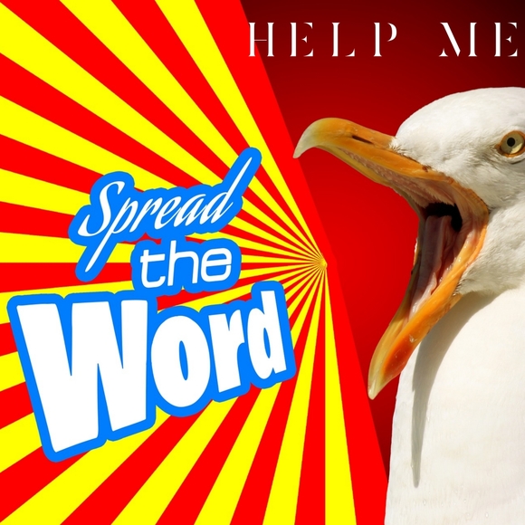 Follow me Game - Picture 2 of 3